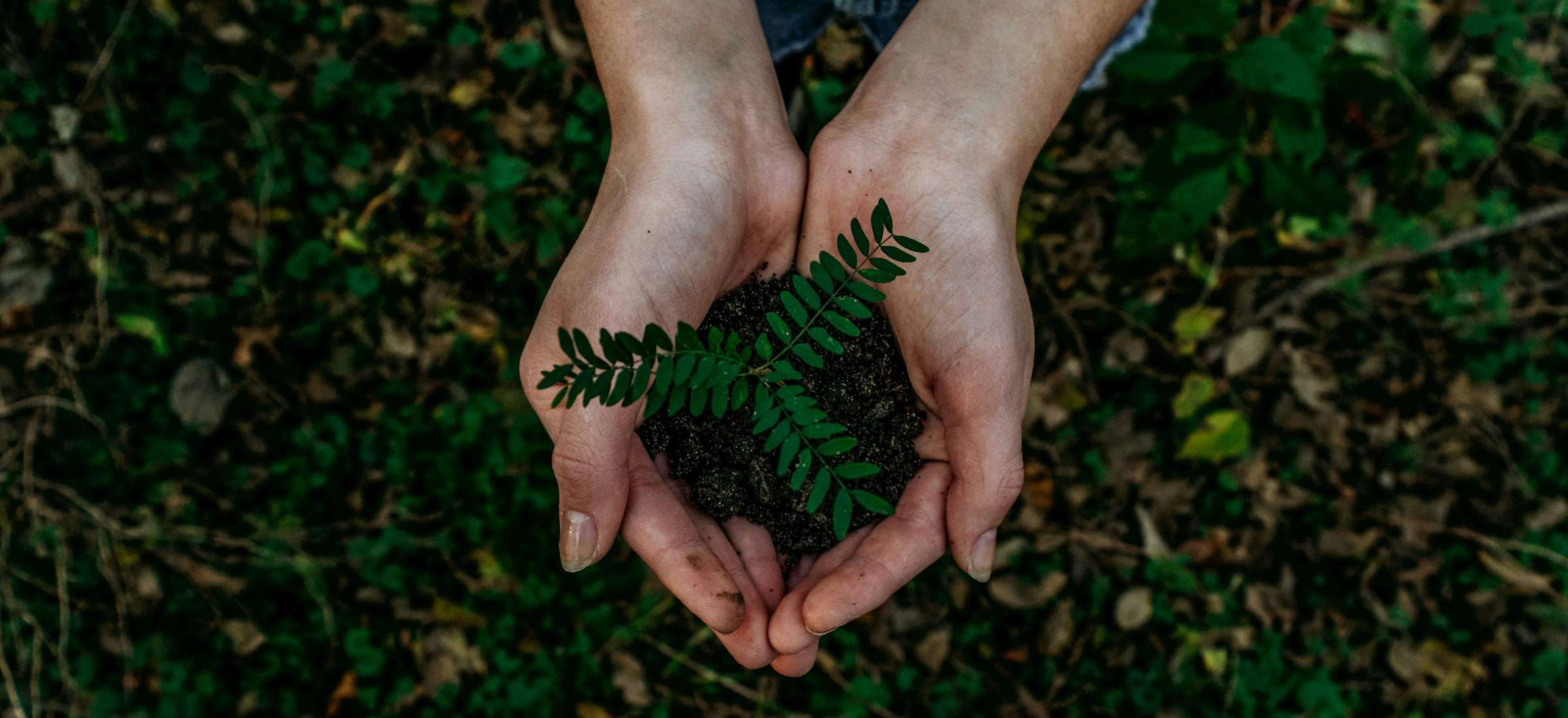 Clarté financière et responsabilité écologique : les deux faces d’une même lucidité.
